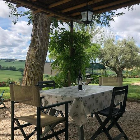 Vigna Sant' Amico Country House Morro dʼAlba Eksteriør billede