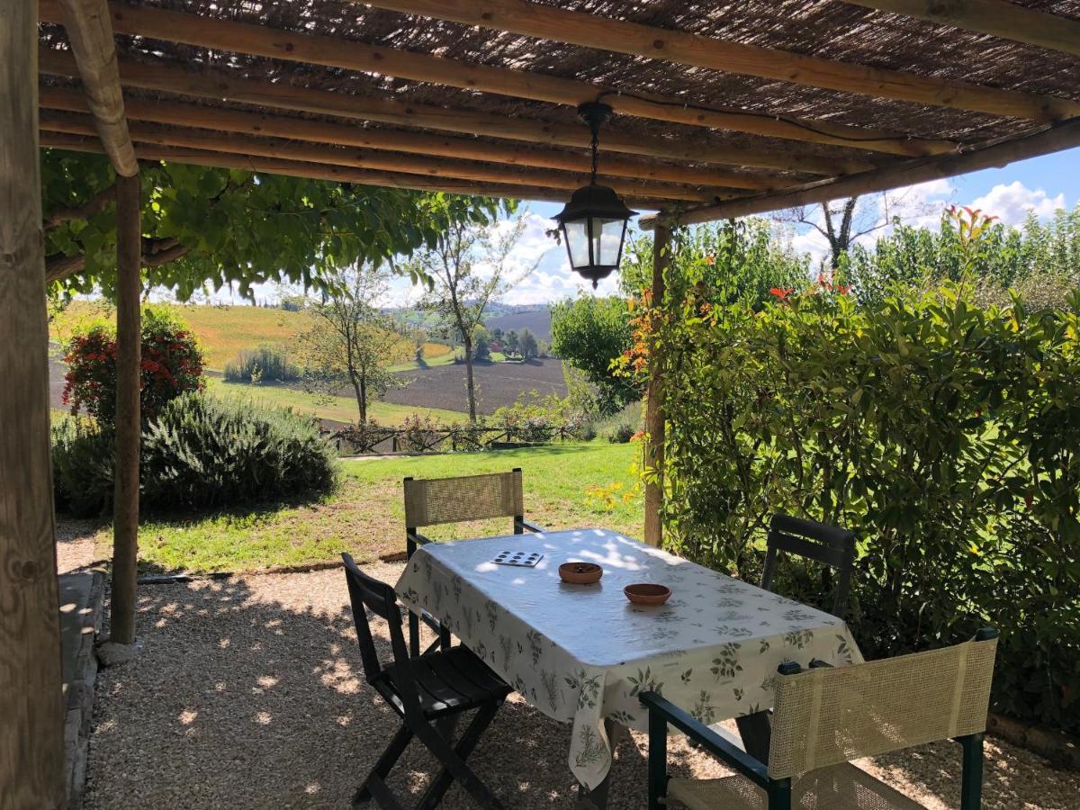 Vigna Sant' Amico Country House Morro dʼAlba Eksteriør billede