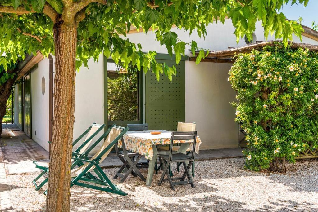 Vigna Sant' Amico Country House Morro dʼAlba Eksteriør billede