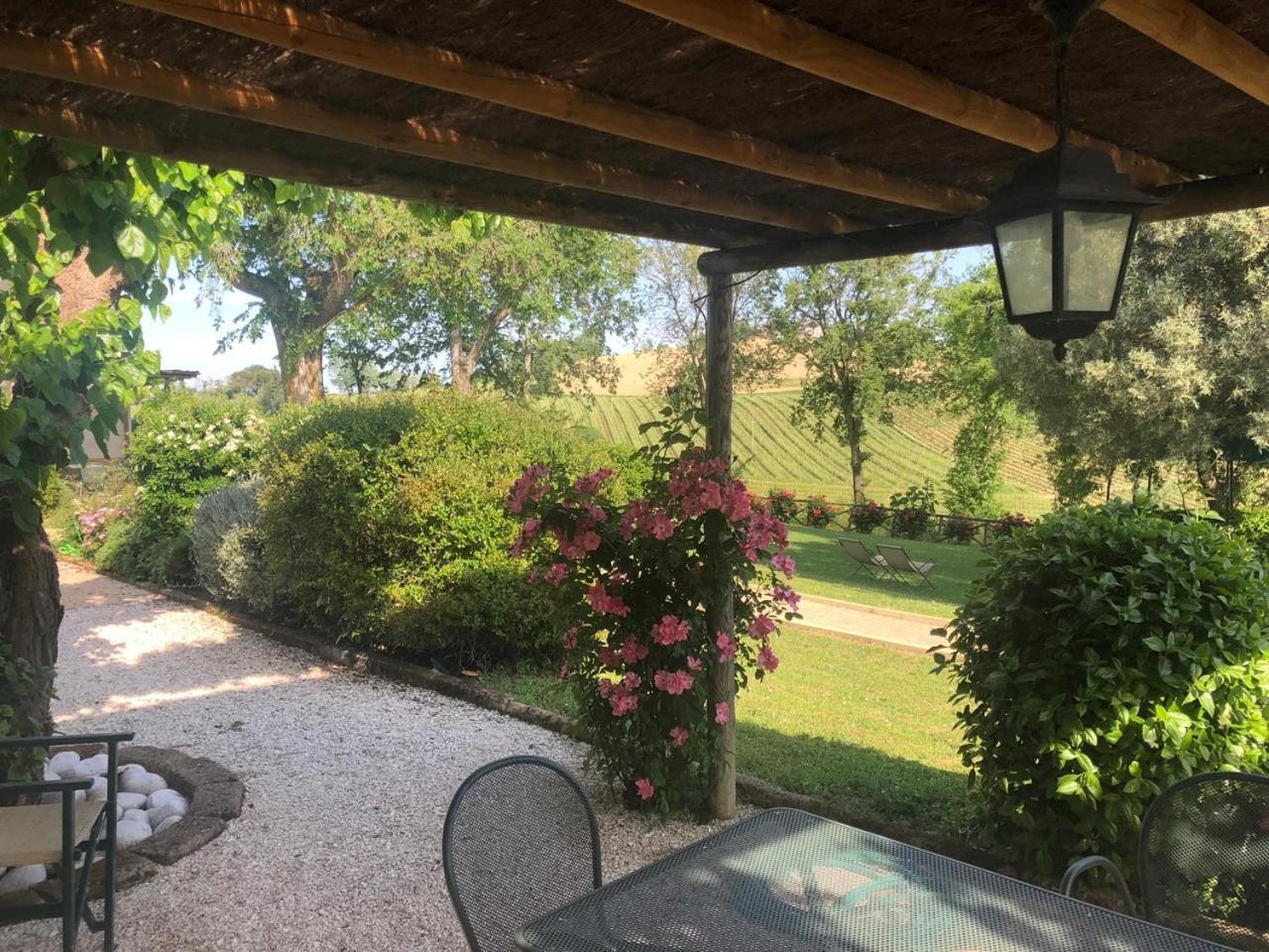 Vigna Sant' Amico Country House Morro dʼAlba Eksteriør billede