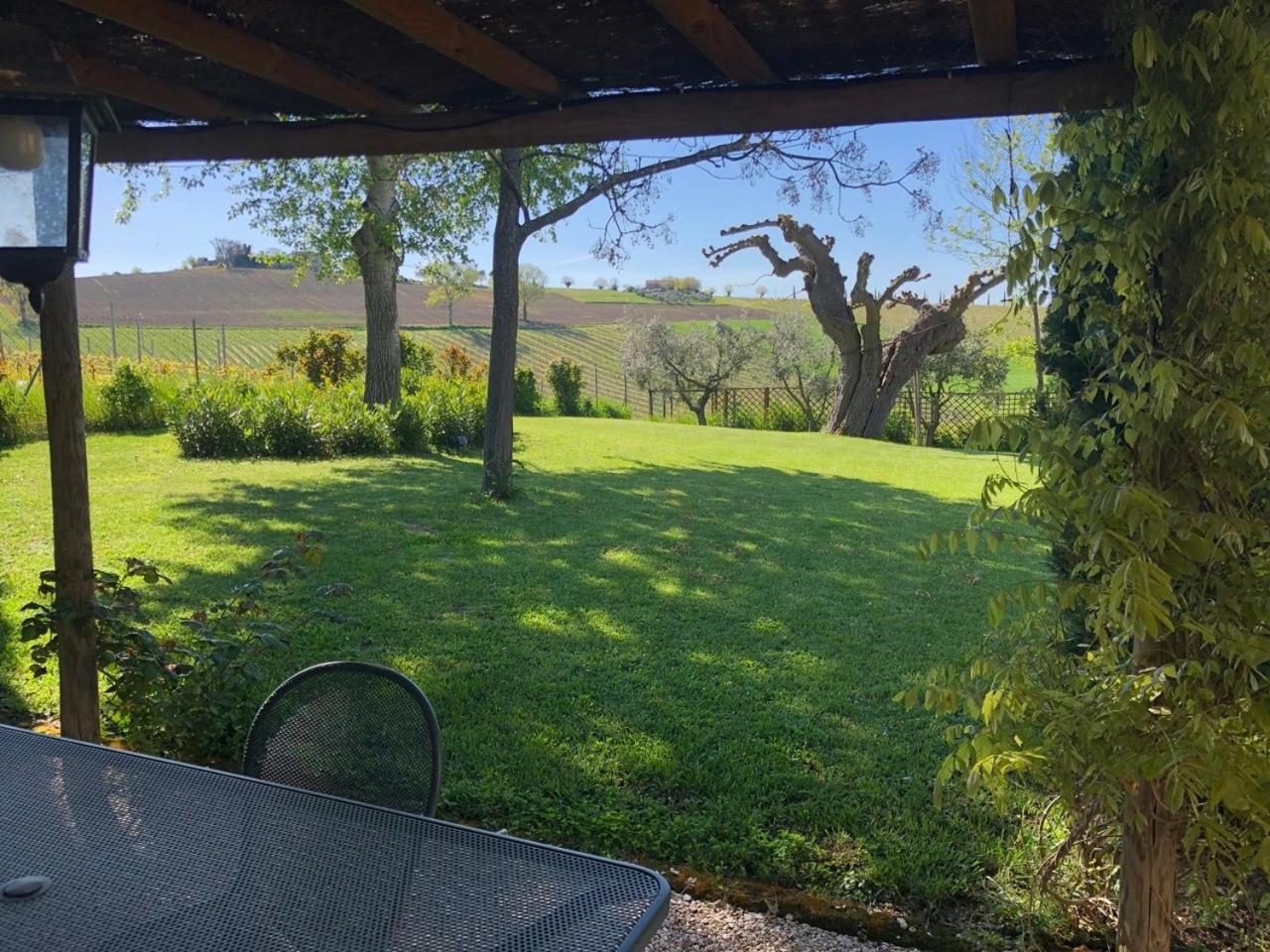 Vigna Sant' Amico Country House Morro dʼAlba Eksteriør billede