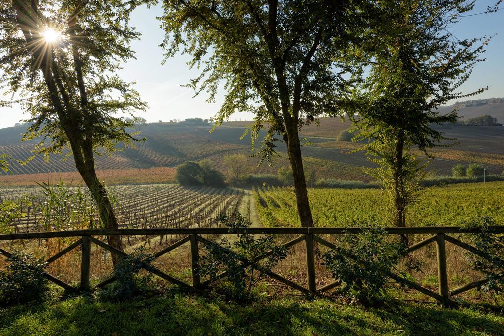 Vigna Sant' Amico Country House Morro dʼAlba Eksteriør billede