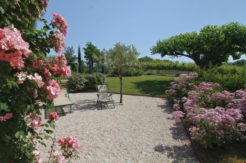 Vigna Sant' Amico Country House Morro dʼAlba Eksteriør billede